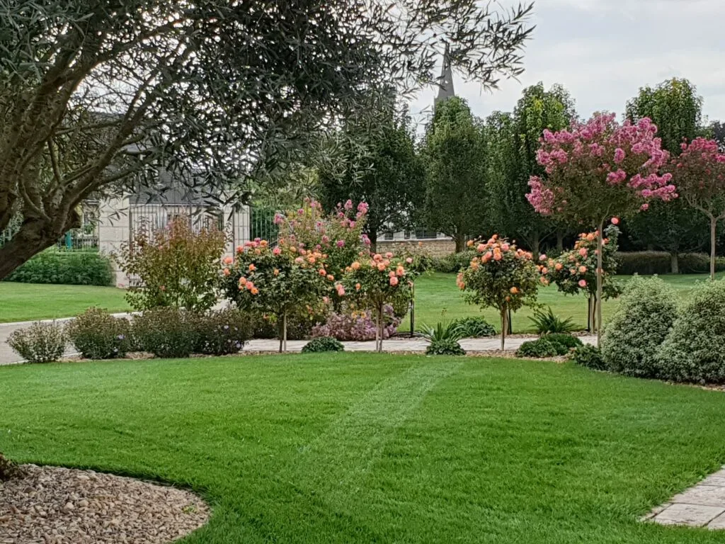 Jardin entretenu par l’équipe Paysage Cocooning