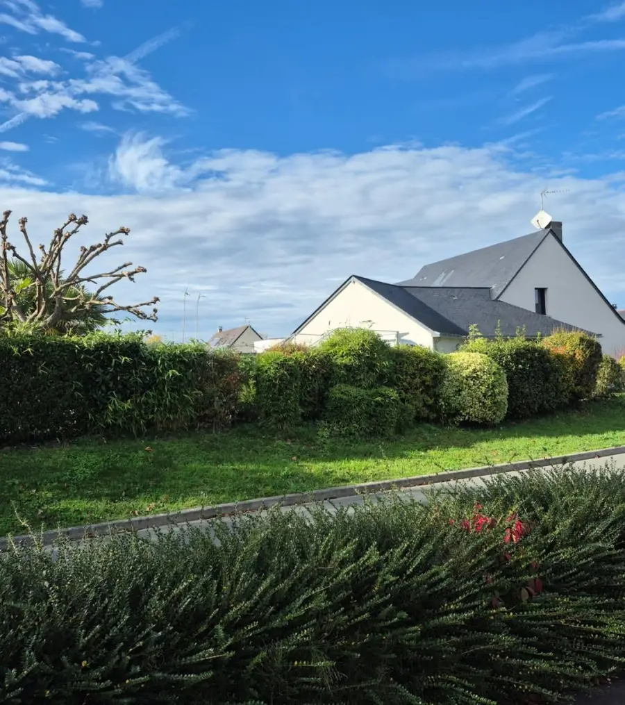Avant les travaux à Corzé : haie en limite de jardin