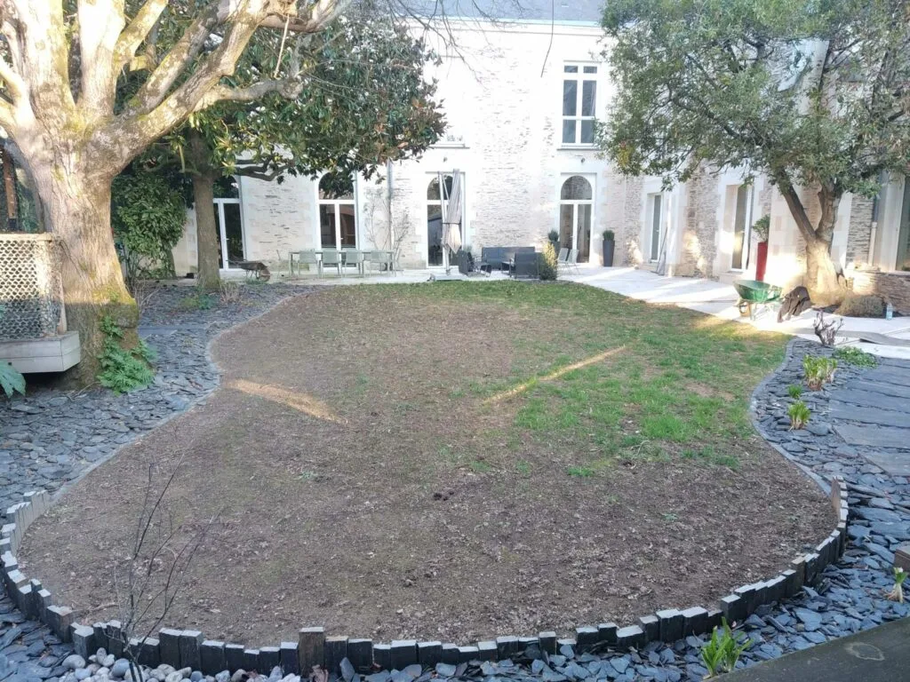Avant les travaux : jardin en terre autour d’un arbre